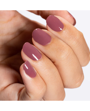 Gel Semipermanente Polish Puce MNP Mesauda 01 Nail Pro