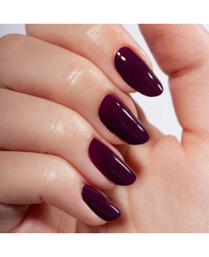 Gel Semipermanente Polish Guilty MNP Mesauda 39 Nail Pro