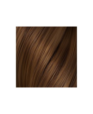 Castano/Beige Numero 17