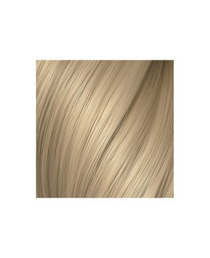 Honey Blonde Number 26